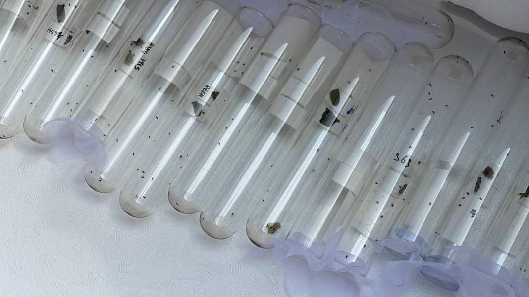 Karadeniz'in bazı kentlerinde alarm verildi: Samuraylar devrede! 13